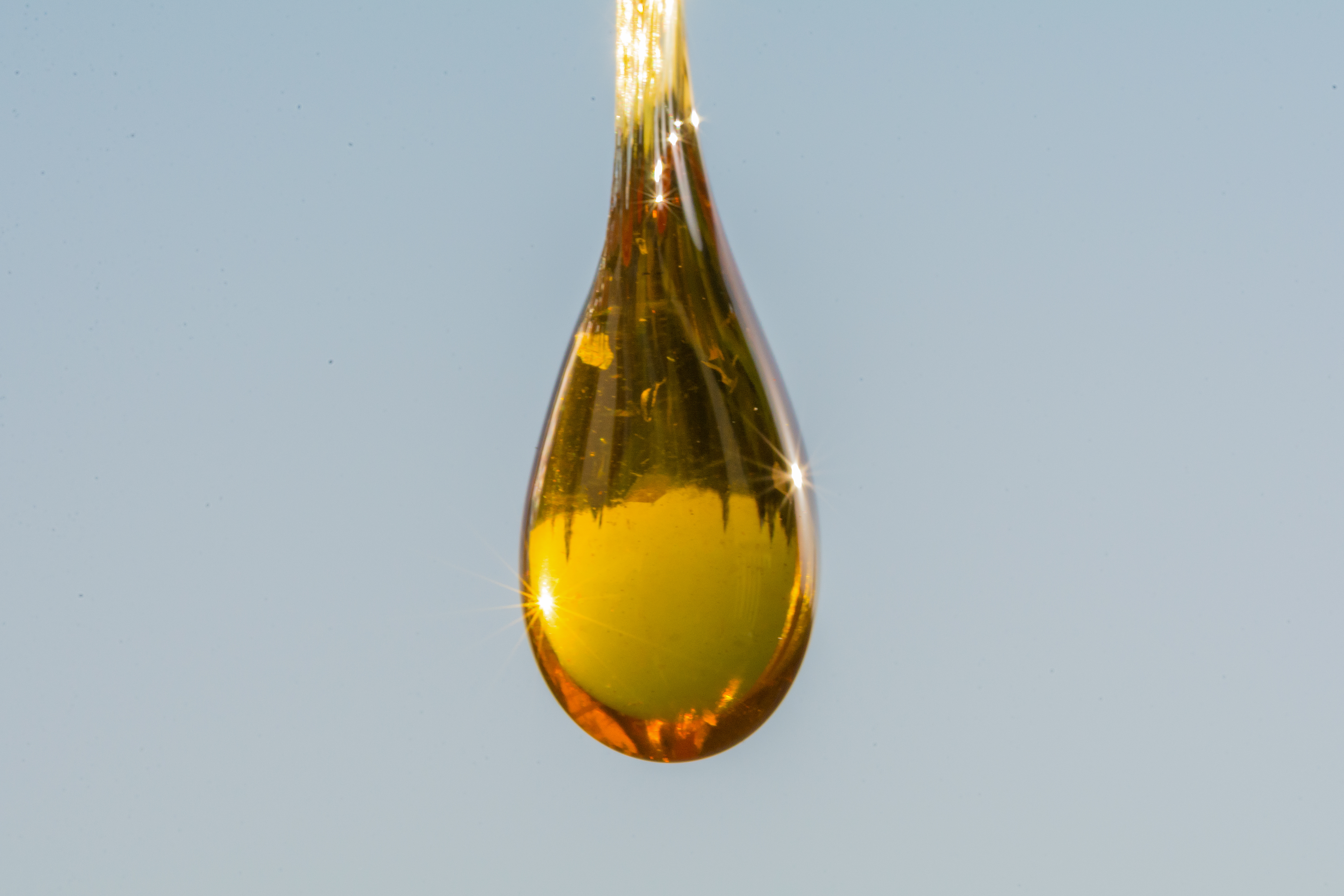 CBD Oil Hemp Extract CBD Oil Hemp Extract